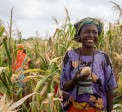 END EXTREME POVERTY, WHATEVER IT TAKES
