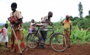 A group of 50 people work on rehabilitating a 4 kilometre stretch of road in Rushanga as part of a cash-for-work initiative run by Concern. Photo: Darren Vaughan 
