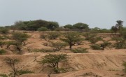 The harsh landscape between Hargeisa and Borama. Photo: Eamon Timmins/Concern Worldwide