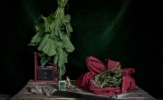 Natalie and her husband received seeds, tools and training in farming skills from Concern to help with their recovery after they fled their village during conflict. Pictured are some of these tools. Photo: Chris de Bode