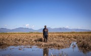 Recently married Patrick Ghembo of Monyo Village, Malawi, standing in his field, destroyed by the floods. Patrick is a farmer of maize and rice. He and his wife must rely solely on fishing until he can plant again. They will stay at the displacement camp until the floods have fully subsided. Photo: Gavin Douglas
