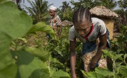 Cecelia Morris, left, and Teneh Morris, right, in Teneh's vegetable garden. Photo: Nora Lorek
