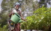 Euphemia Inina waters her home garden in Mabayi, Cibitoke. Photo: Abbie Trayler-Smith