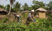 Cecelia and Teneh in Teneh's vegetable garden. They have received training and support from Concern to grow their own vegetables. Photo: Nora Lorek