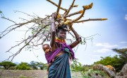 Atiir collects firewood every day in Turkana, northern Kenya. Recurrent drought has made it her only means of survival. Photo: Gavin Douglas