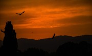 Original view, Kanwal, Pakistan