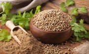 Ground coriander