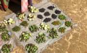 Food from small local farmers in Buchanan, Liberia.