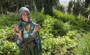 Merema can now grow potatoes in Ethiopia, thanks to Concern. Photo: Kieran McConville
