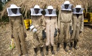Concern has supported host communities surrounding Pugnido Refugee camp in Gambella, Ethiopia, with livelihoods programs, including beekeeping. Photo: Kieran McConville / Concern Worldwide