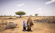 Cibaado with her daughter Foosiya inspects her field in Qaloocato in Odweine. Photo: Ed Ram/Concern Worldwide