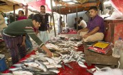 Shabuz Mia, a Fish seller in Vera market, Kadamtoli, Chittagong. Photo: Emdadul Islam Bitu/Concern Worldwide
