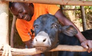 Charlotte Bankundiye (33) and Joel Nkurunziza (37) have two children – a boy aged 13, and a girl aged seven live and farm in Muganza, Gisagara. Photo: Eugene Ikua/Concern Worldwide