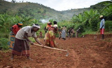 A group of 50 people work on restoring a 4km stretch of road in Rushanga as part of a cash-for-work initiative run by Concern to open up inaccessible areas and provide additional income for vulnerable households. In Gitega, more than 2,000 people have benefited from the community resilience programme. Photo Darren Vaughan