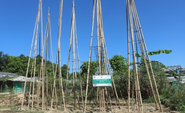 Tower gardening technique, Cox's Bazar, Bangladesh.
