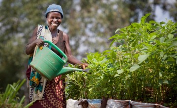 Euphemia Inina (42) mother of Alphonsine Niyonzima (21) waters their market garden at her home in Mabayi, Cibitoke. As part of the Graduation programme all participants are given seeds and training on how to grow food in their gardens. Photo: Abbie Trayler-Smith / Concern Worldwide.