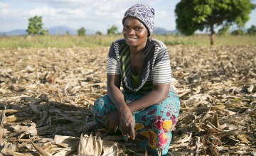 women farming