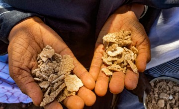 Two hands hold desert salt