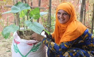 Senowara’s sack garden is a true source of joy. Photo: Concern Worldwide