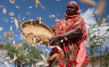 Jazaka Salimu winnows mung beans in Makere village in Tana River County. Photo: Lisa Murray/Concern Worldwide