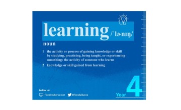 ZFRA Year 4 Learning Report