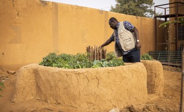 Boubarcar Abdulaye's Keyhole garden in Tahoua Concern office. Photo: Ed Ram/Concern Worldwide