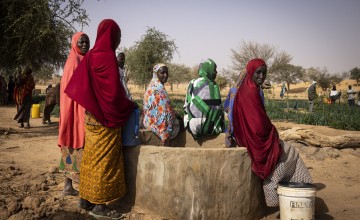 The home garden in Tounji Illy. Photo: Ed Ram/Concern Worldwide