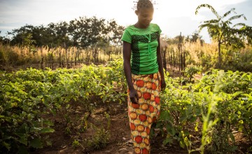 Irene Ngoyi tending a community garden in the town of Pension, Manono Territory. Photo: Hugh Kinsella Cunningham/Concern Worldwide
