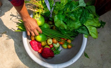 Asma's produce from her garden, grown using climate-smart agriculture techniques. Photo: Gavin Douglas