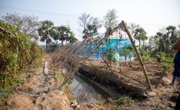Esanuel Kabir's farm features a number of climate-smart agricultural techniques. Photo: Gavin Douglas