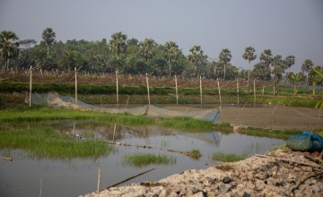 The floating technique on Esanuel's farm. Photo: Gavin Douglas