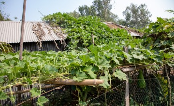 Malika is a programme participant of the Zurich programme. Here is her garden, featuring climate smart agriculture techniques. Photo: Gavin Douglas