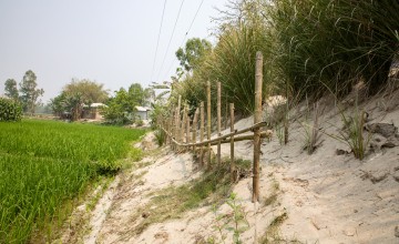 The reconstructed embankment in Rangpur, Bangladesh. Photo: Gavin Douglas