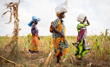 Concern's ALIVE project in Kenya aims to improve communities' resilience to climate change and transform agricultural livelihoods by providing smallholder farmers with access to markets, affordable finance schemes, seeds and tools, and climate-smart techniques.