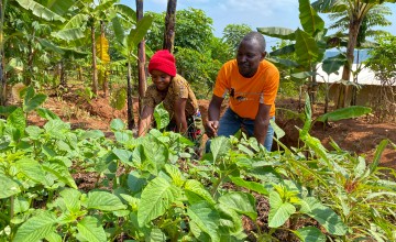 Charlotte and Joel grow amaranth and onions in their kitchen garden and have planted trees close to the house.
