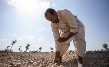 Maula sewing seeds in his field