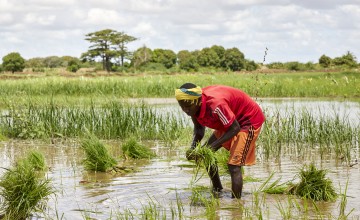 Somalia is particularly prone to flooding, which exasperates poverty. Pictured here, a Somali resident preparing for increased rain due to El Nino in 2023. Photo: Abdikarim Mohamed/ICRC