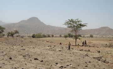 Children walk over agricultural land in Tselmti woreda, Ethiopia. Nothing is growing in the current drought. Photo: David Hunn/Concern Worldwide.