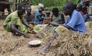Aline Nsabimana’s family shell and sort the beans they have just harvested. Photo: Chris de Bode