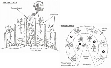 Kitchen gardens are vegetable patches designed especially to maximise the production of food throughout the year