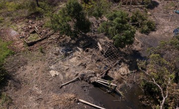 Ernesto Gambulene with the ruined maize crop from his field in Lamego, which was inundated by floodwaters from Cyclone Idai for nearly two weeks. Photo: Kieran McConville/Concern Worldwide.