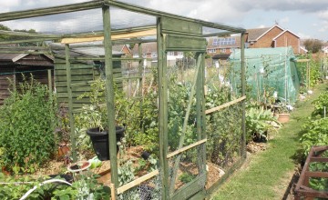 Linda's daughter goes into the fruit cage for a very long time and comes out without much produce in the container