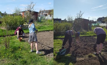 Tracey occasionally pays her grandchildren a little pocket money to help her graft at the allotment