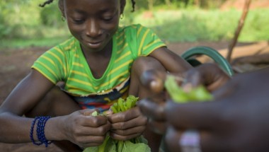 Seven-year-old Davilla helps her aunty Claudia Batene prepare squash leaves for the family meal. The squash leaves are cultivated from seeds provided by Concern. The family also received groundnut, bean and sesame seeds, tools - including two machetes and a hoe - and farming skills. Photographer: Chris de Bode