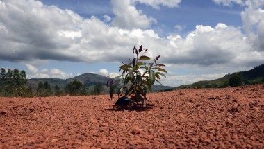 Soil erosion in Burundi. Photo: Chris de Bode/Panos Pictures / Concern Worldwide.