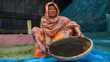 Asma Begum making the vermicompost she uses on her own farm land and sells. Photo: Gavin Douglas