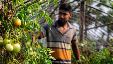 Esanuel Kabir is a programme participant in the CRAAIN programme. Photo: Gavin Douglas