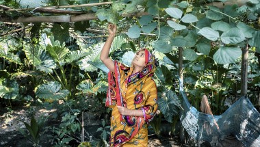 Woman farming in Bangladesh 