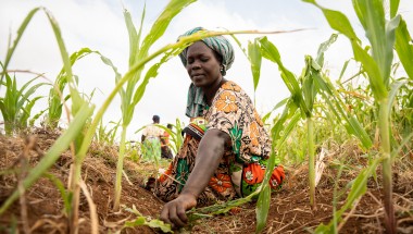 Mwanaesha Haluwa Haji tends to a plot of maize in Makere village in Kenya’s Tana River County. Photo: Lisa Murray/Kerry Group/Concern Worldwide