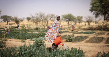 Doma, 70, has been working in the garden for 4 years since the garden began. Doma says with the diversity of the vegetables they grow in the garden the children are healthier. Photo: Ed Ram/Concern Worldwide
